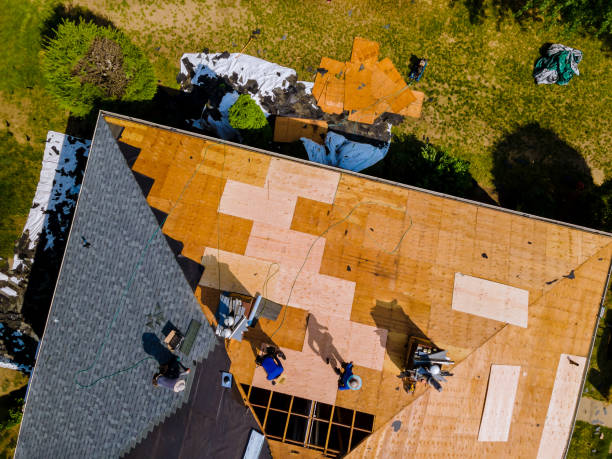 Best Residential Roof Replacement  in USA